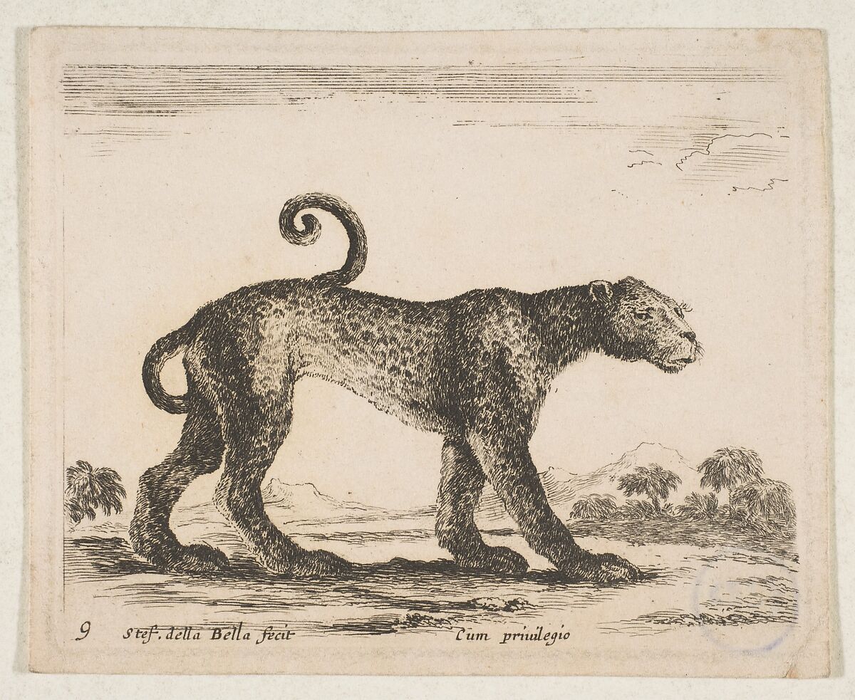 Plate 9: Leopard, from "Various animals" (Diversi animali), Stefano della Bella (Italian, Florence 1610–1664 Florence), Etching; third state of three (De Vesme) 