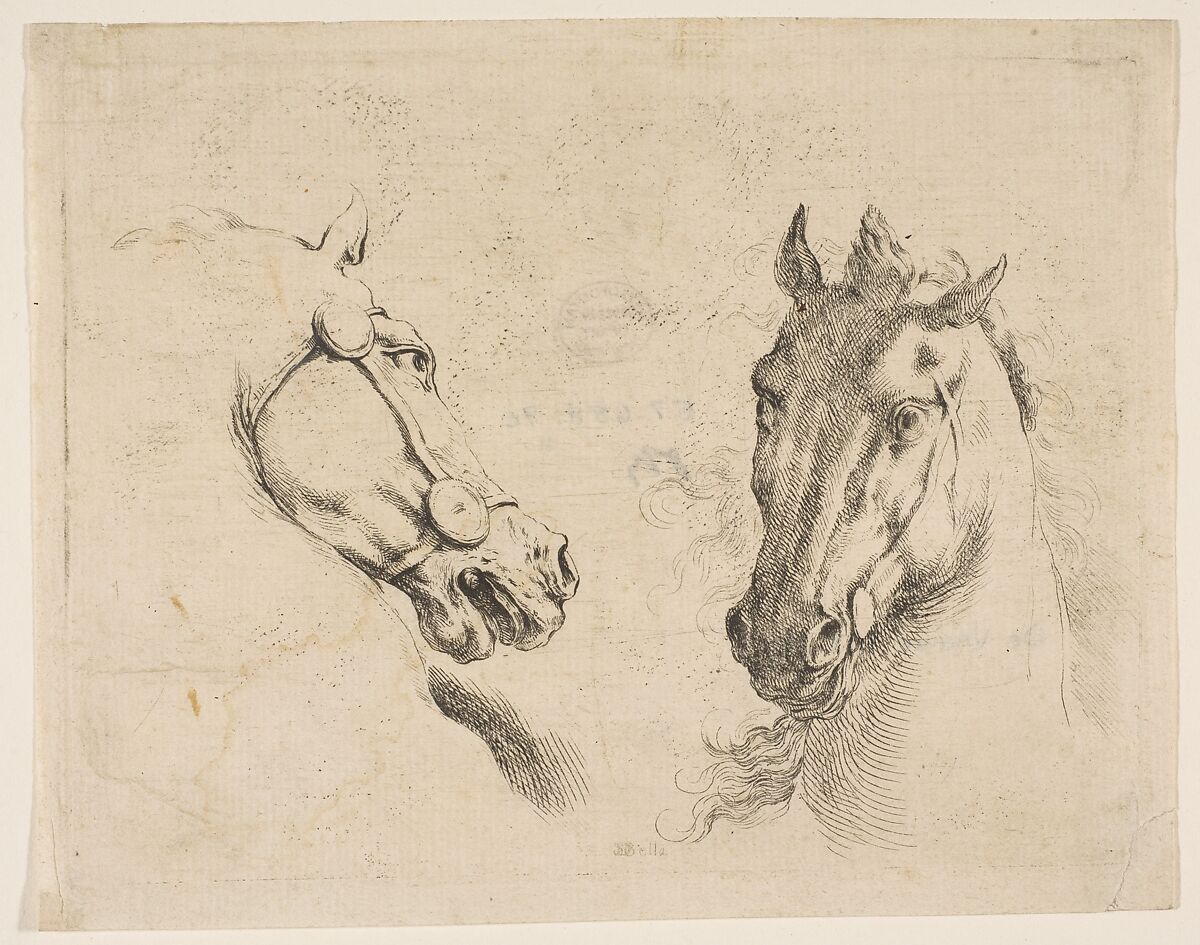 Two Horse Heads, Etched by Stefano della Bella (Italian, Florence 1610–1664 Florence), Etching, state i 