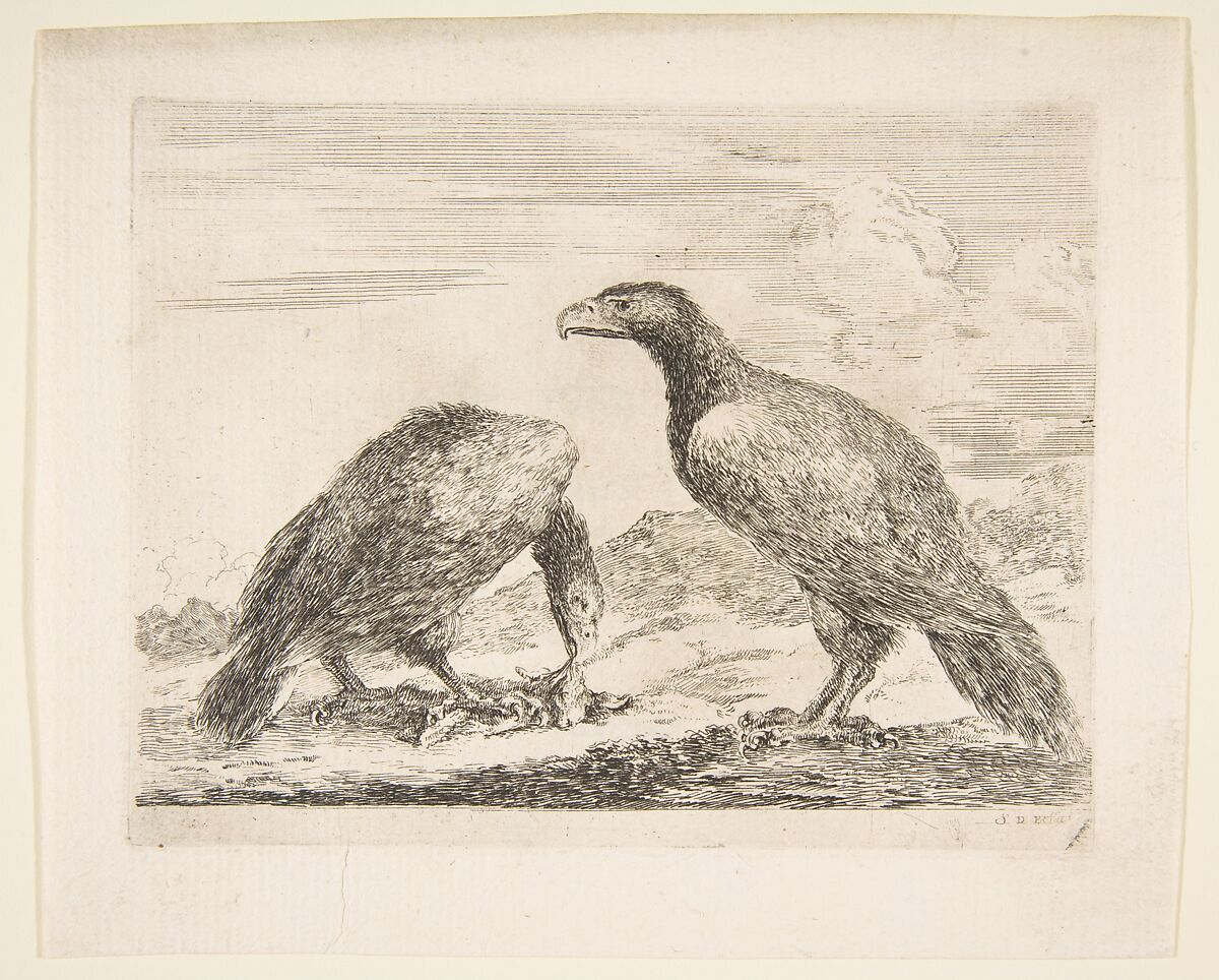 Two eagles, one devouring a lamb, from 'Eagles'  (Les aigles), Stefano della Bella (Italian, Florence 1610–1664 Florence), Etching 