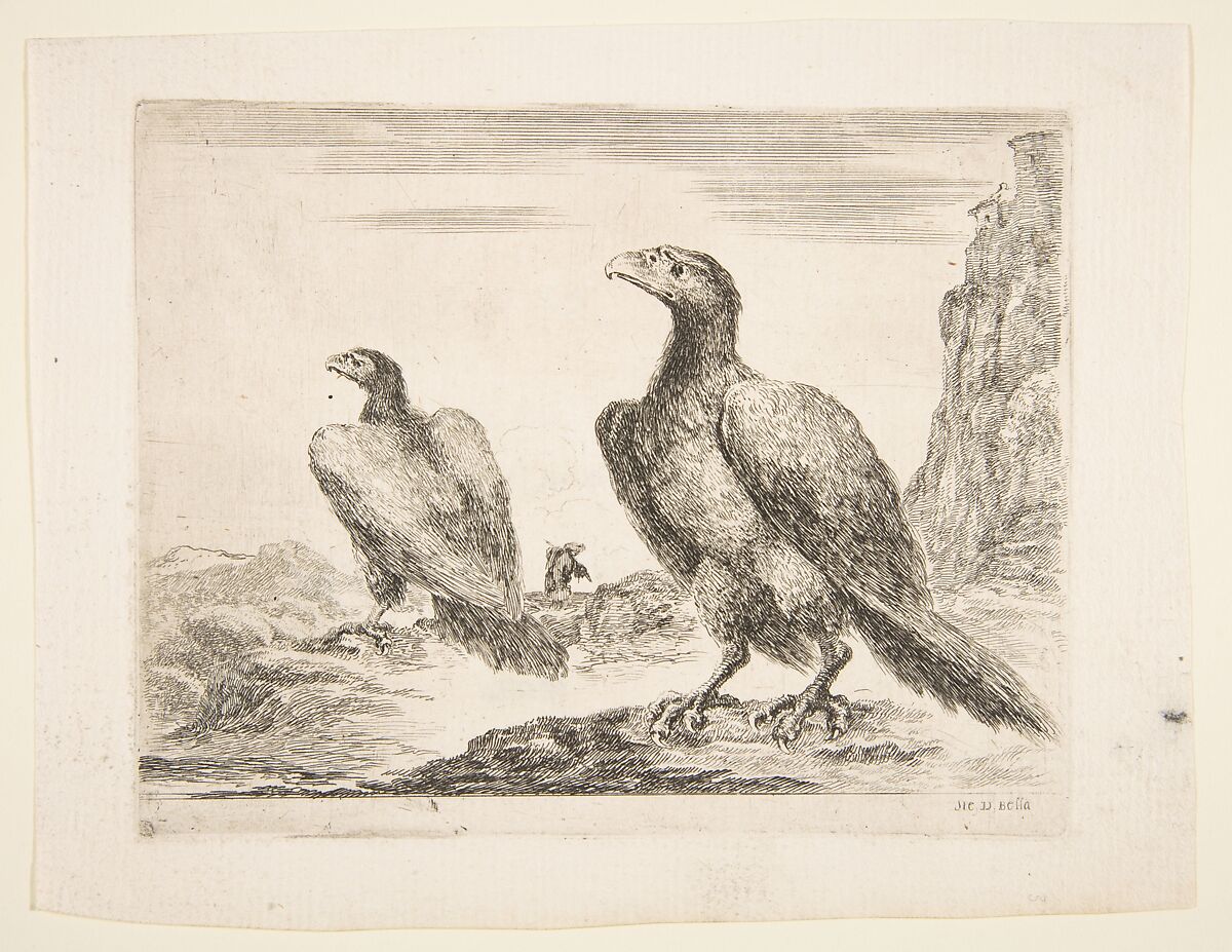 Two eagles, from 'Eagles'  (Les aigles), Stefano della Bella (Italian, Florence 1610–1664 Florence), Etching 