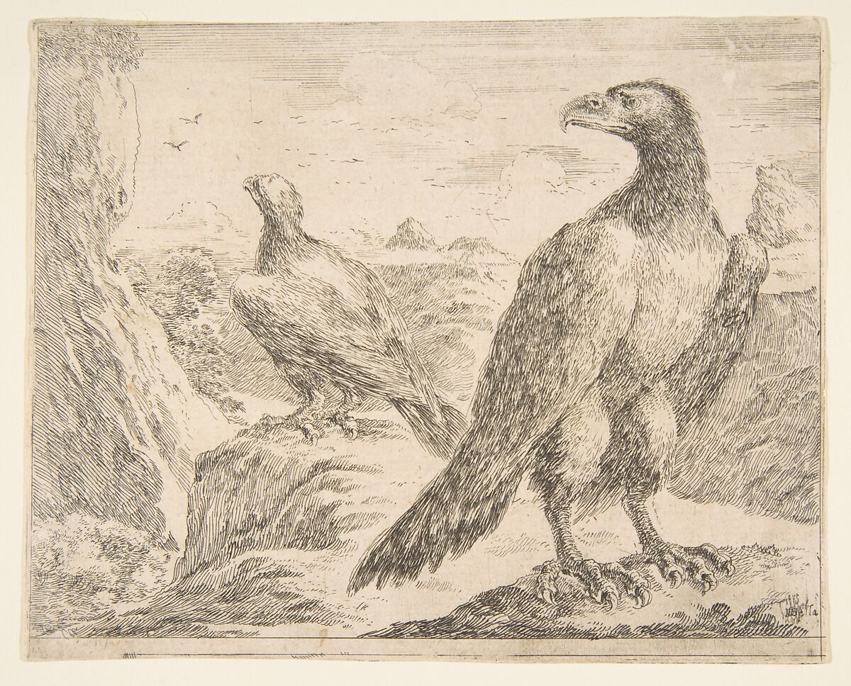 Two Eagles, from "Eagles"  (Les Aigles), Stefano della Bella (Italian, Florence 1610–1664 Florence), Etching 