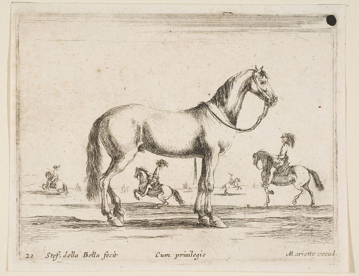 Horse, plate 21 from "Various Animals" (Diversi Animali), Stefano della Bella (Italian, Florence 1610–1664 Florence), Etching; second state of three (De Vesme) 