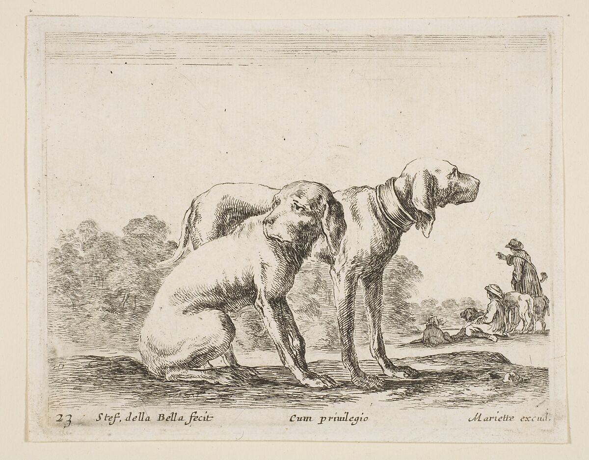 Two hounds, plate 23 from "Various Animals" (Diversi Animali), Stefano della Bella (Italian, Florence 1610–1664 Florence), Etching; second state of three (De Vesme) 