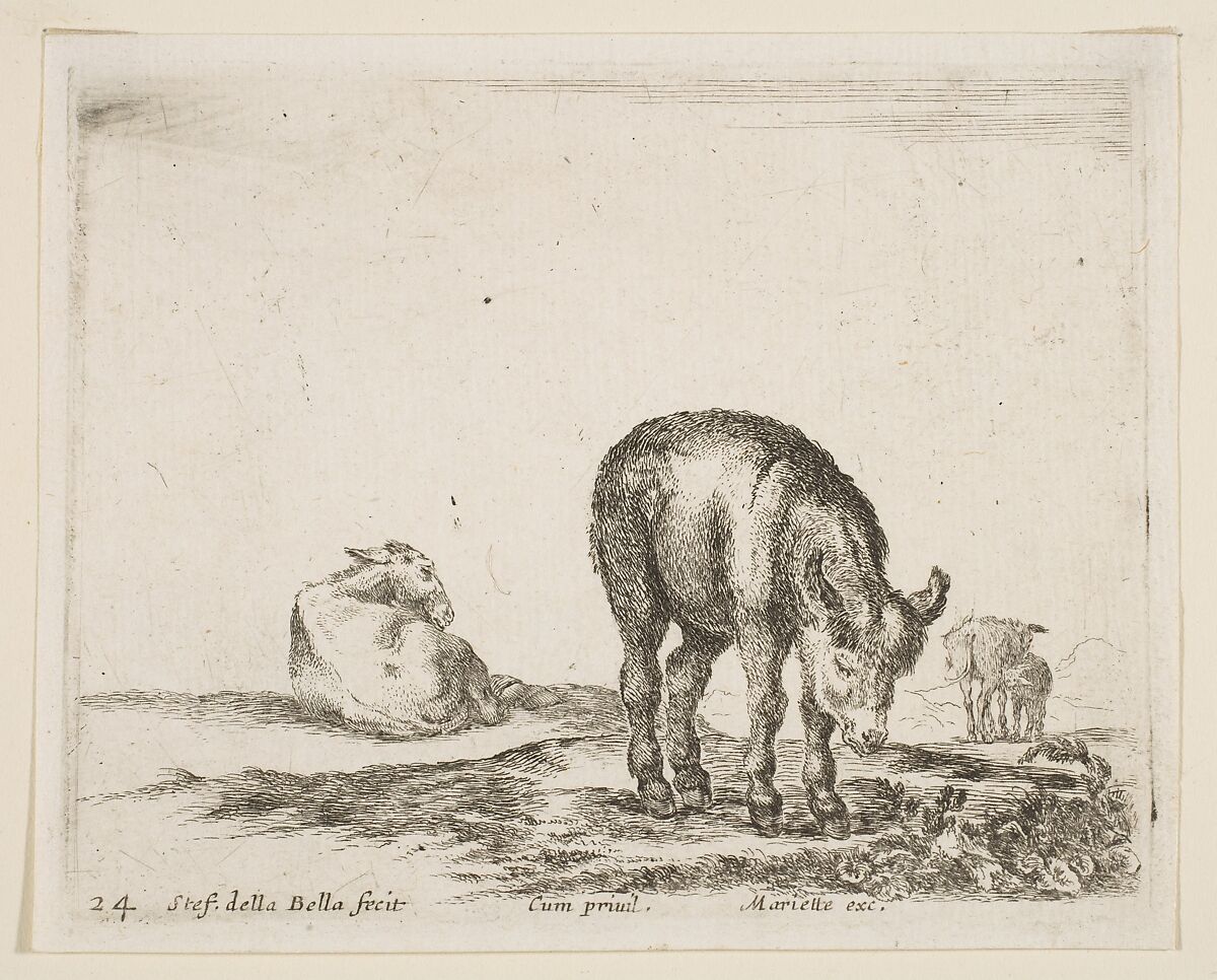 Donkeys, plate 24 from "Various Animals" (Diversi Animali), Stefano della Bella (Italian, Florence 1610–1664 Florence), Etching; second state of three (De Vesme) 