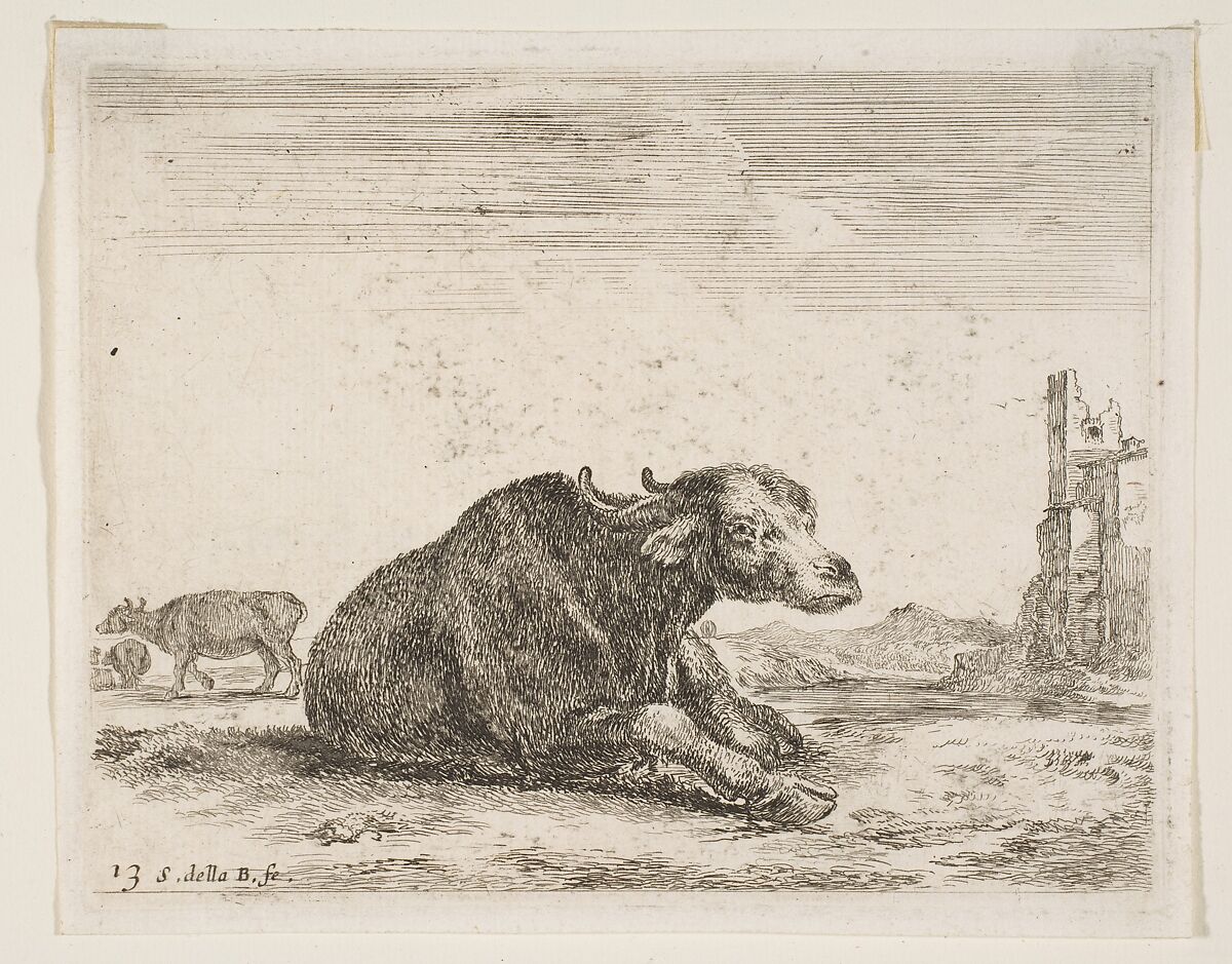 Buffalo lying down, plate 13 from "Various Animals" (Diversi Animali), Stefano della Bella (Italian, Florence 1610–1664 Florence), Etching; third state of three (De Vesme) 