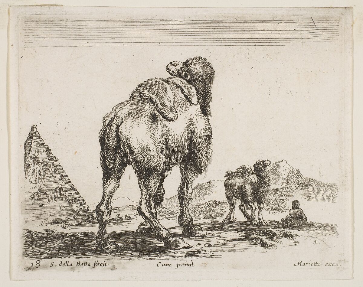 Camel viewed from behind with pyramid at left, plate 18 from "Various Animals" (Diversi Animali), Stefano della Bella (Italian, Florence 1610–1664 Florence), Etching; second state of three (De Vesme) 