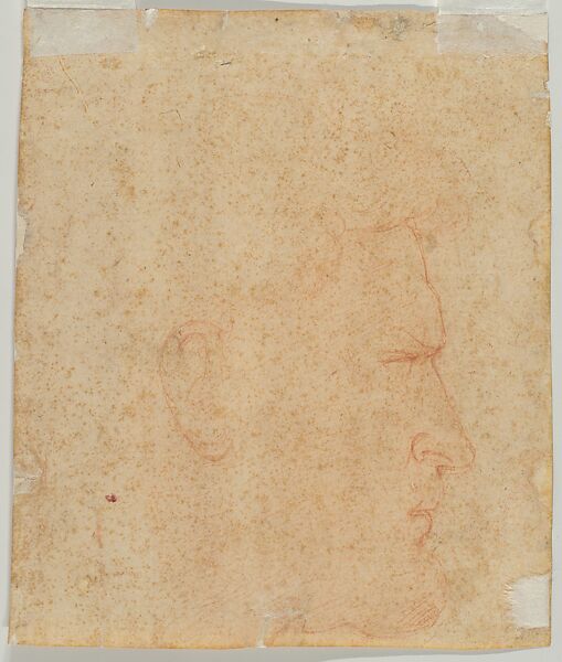 Study for the Head of Julius Caesar, Andrea del Sarto (Andrea d'Agnolo) (Italian, Florence 1486–1530 Florence), Red chalk