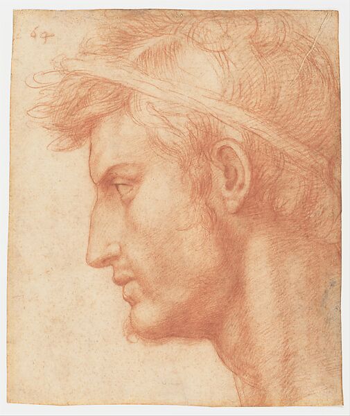 Study for the Head of Julius Caesar, Andrea del Sarto (Andrea d&#39;Agnolo) (Italian, Florence 1486–1530 Florence), Red chalk 