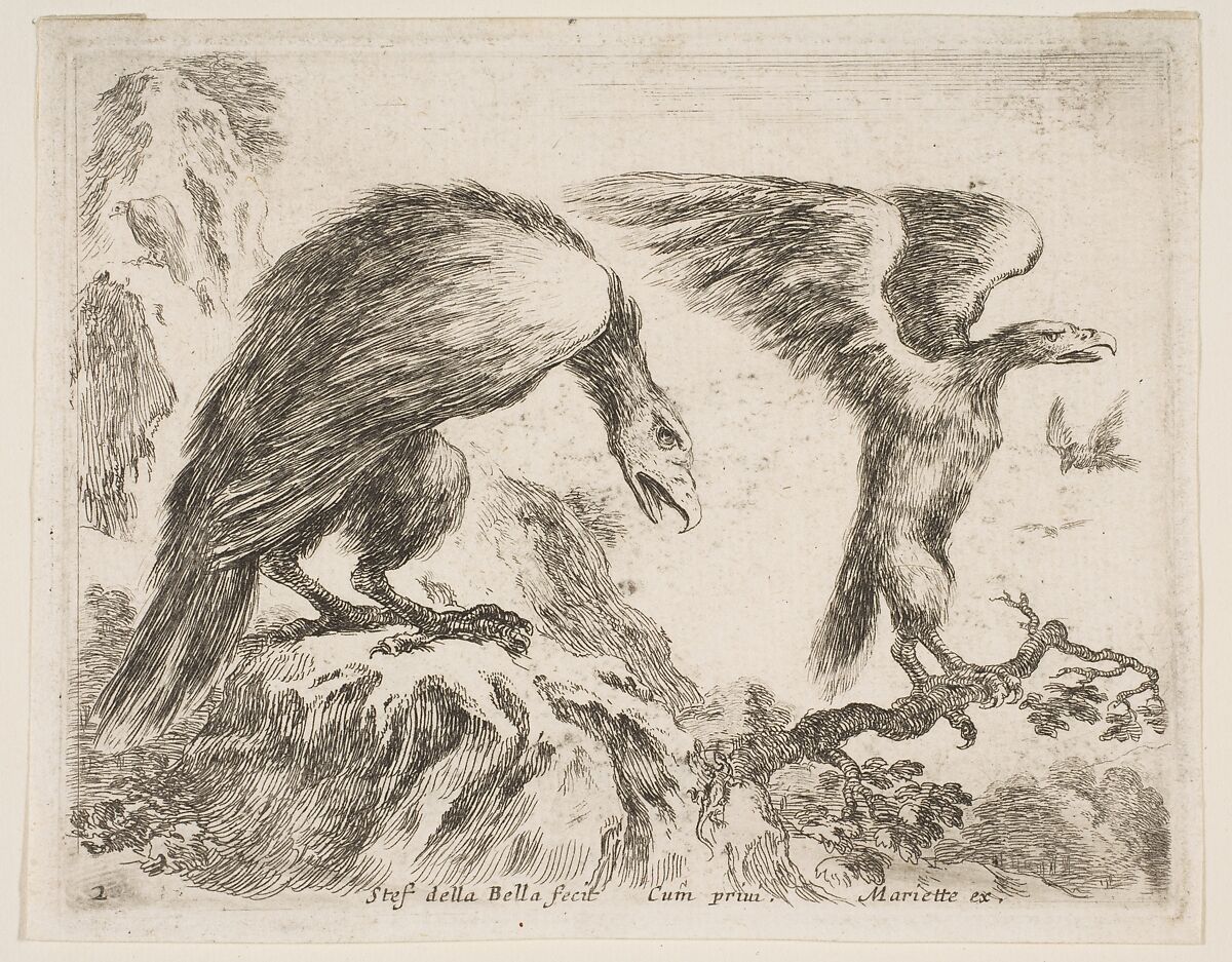 Eagle and eaglet, plate 2 from "Various Animals" (Diversi Animali), Stefano della Bella (Italian, Florence 1610–1664 Florence), Etching; second state of three (De Vesme) 