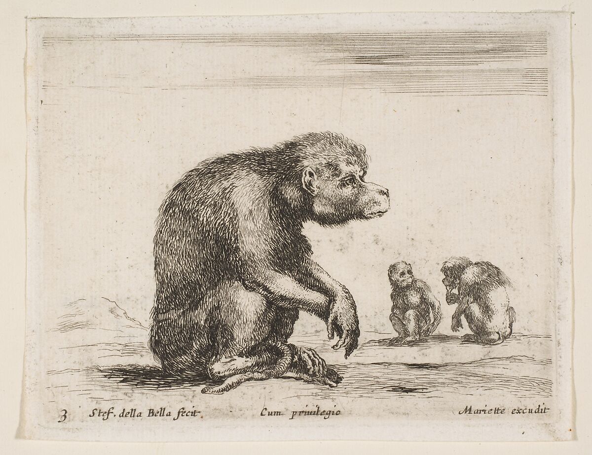 Seated monkey, plate 3 from "Various Animals" (Diversi Animali), Stefano della Bella (Italian, Florence 1610–1664 Florence), Etching; second state of three (De Vesme) 