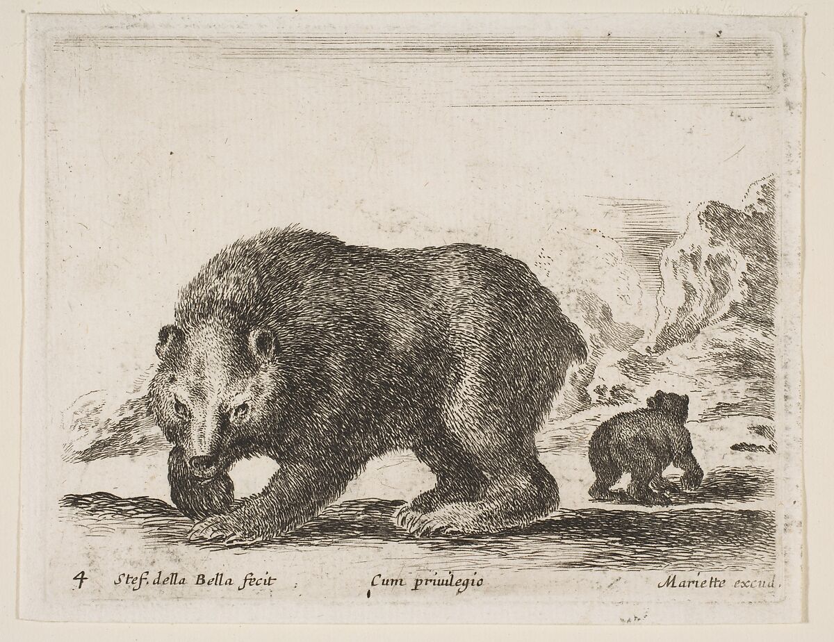 Bear, plate 4 from "Various Animals" (Diversi Animali), Stefano della Bella (Italian, Florence 1610–1664 Florence), Etching; second state of three (De Vesme) 