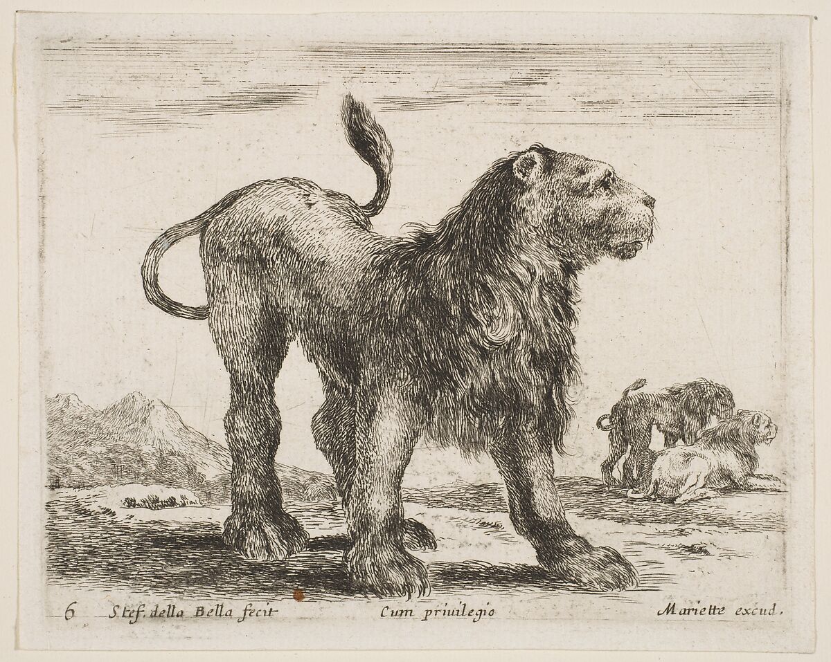 Lion, plate 6 from "Various Animals" (Diversi Animali), Stefano della Bella (Italian, Florence 1610–1664 Florence), Etching; second state of three (De Vesme) 