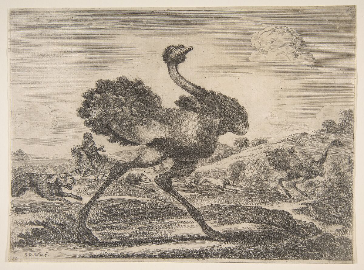 Ostrich hunt, from 'Animal hunts' (Chasses à différents animaux), Stefano della Bella  Italian, Etching
