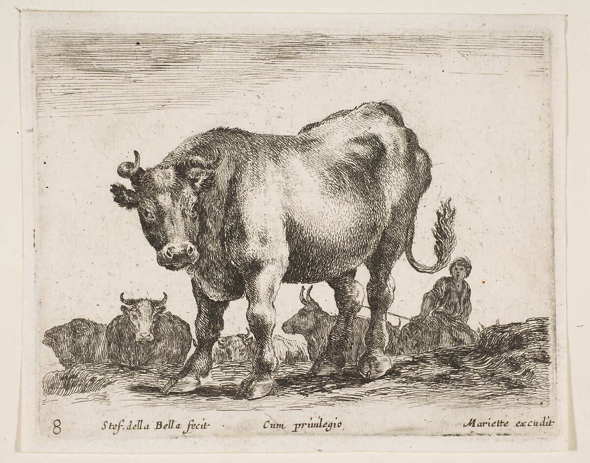 Cow, plate 8 from "Various Animals" (Diversi Animali), Stefano della Bella (Italian, Florence 1610–1664 Florence), Etching; second state of three (De Vesme) 