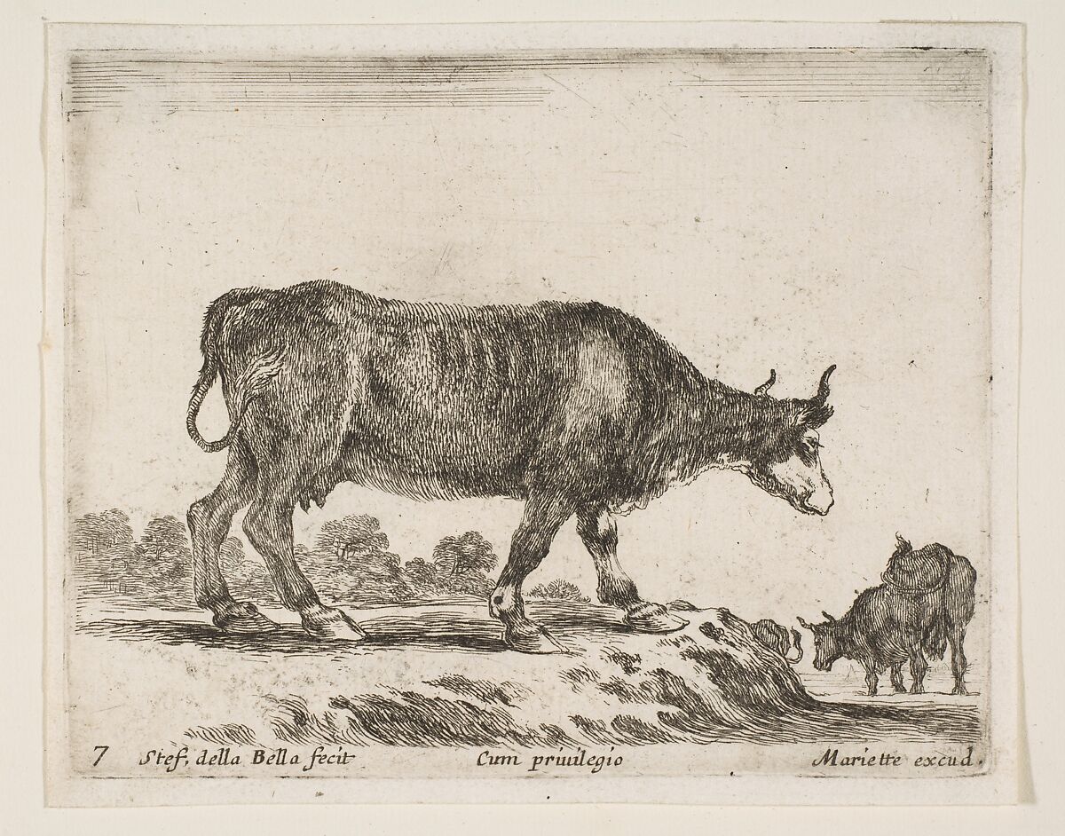 Ox, plate 7 from "Various Animals" (Diversi Animali), Stefano della Bella (Italian, Florence 1610–1664 Florence), Etching; second state of three (De Vesme) 