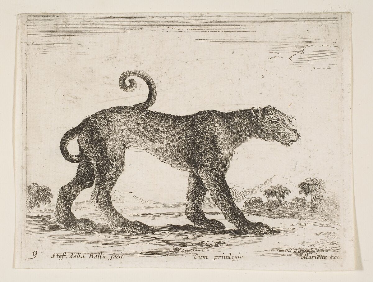 Leopard, plate 9 from "Various Animals" (Diversi Animali), Stefano della Bella (Italian, Florence 1610–1664 Florence), Etching; second state of three (De Vesme) 