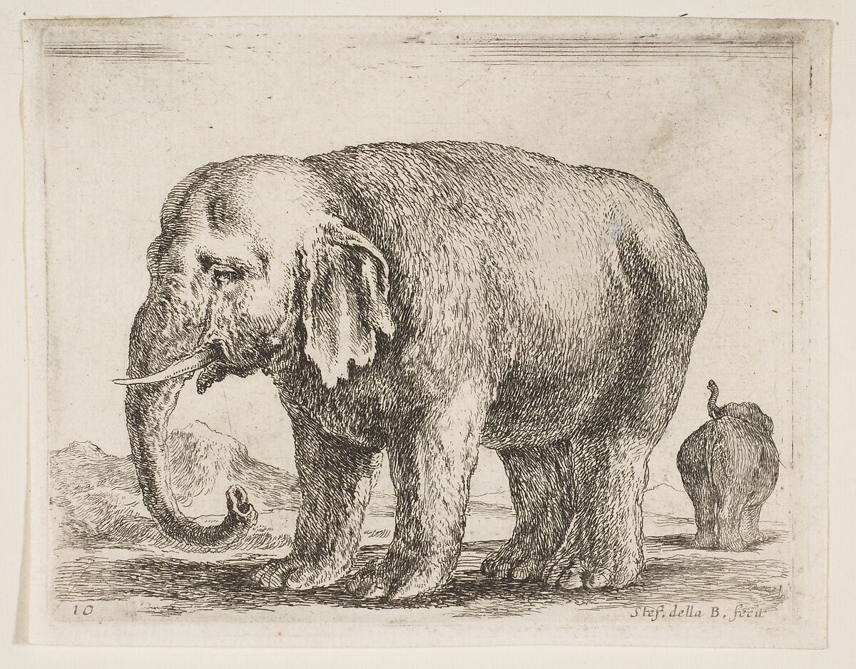 Elephant, plate 10 from "Various Animals" (Diversi Animali), Stefano della Bella (Italian, Florence 1610–1664 Florence), Etching; third state of three (De Vesme) 