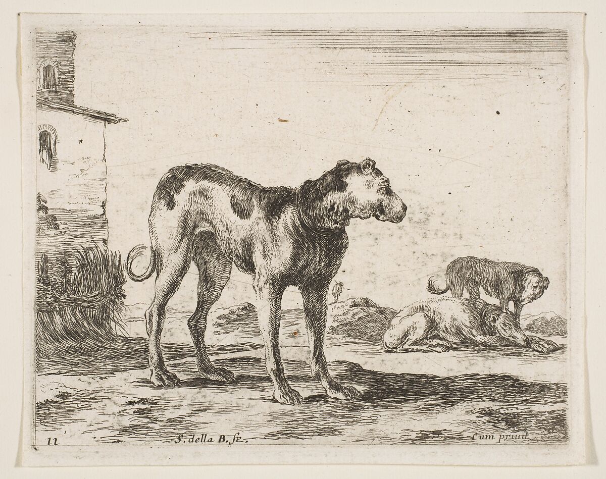 Dogs, plate 11 from "Various Animals" (Diversi Animali), Stefano della Bella (Italian, Florence 1610–1664 Florence), Etching; third state of three (De Vesme) 