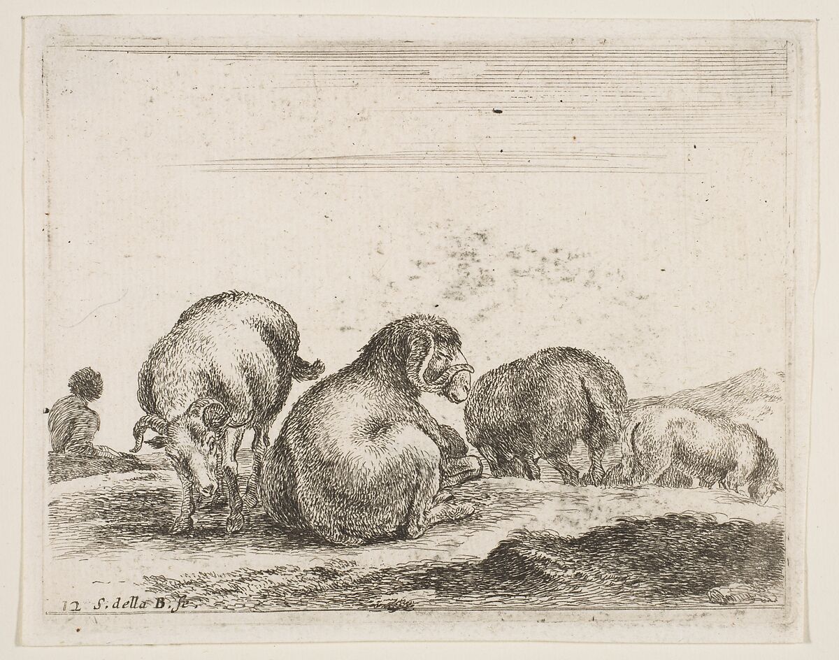 Sheep and ram in a pasture, plate 12 from "Various Animals" (Diversi Animali), Stefano della Bella (Italian, Florence 1610–1664 Florence), Etching; third state of three 