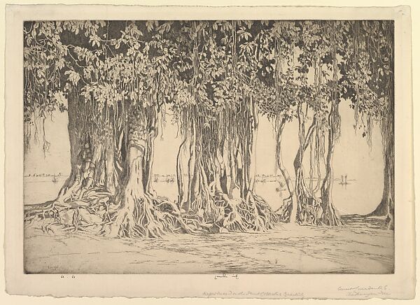 The Banyan Tree, Ernest S. Lumsden (British, London 1883–1948 Edinburgh), Etching 
