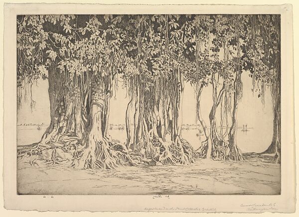 The Banyan Tree