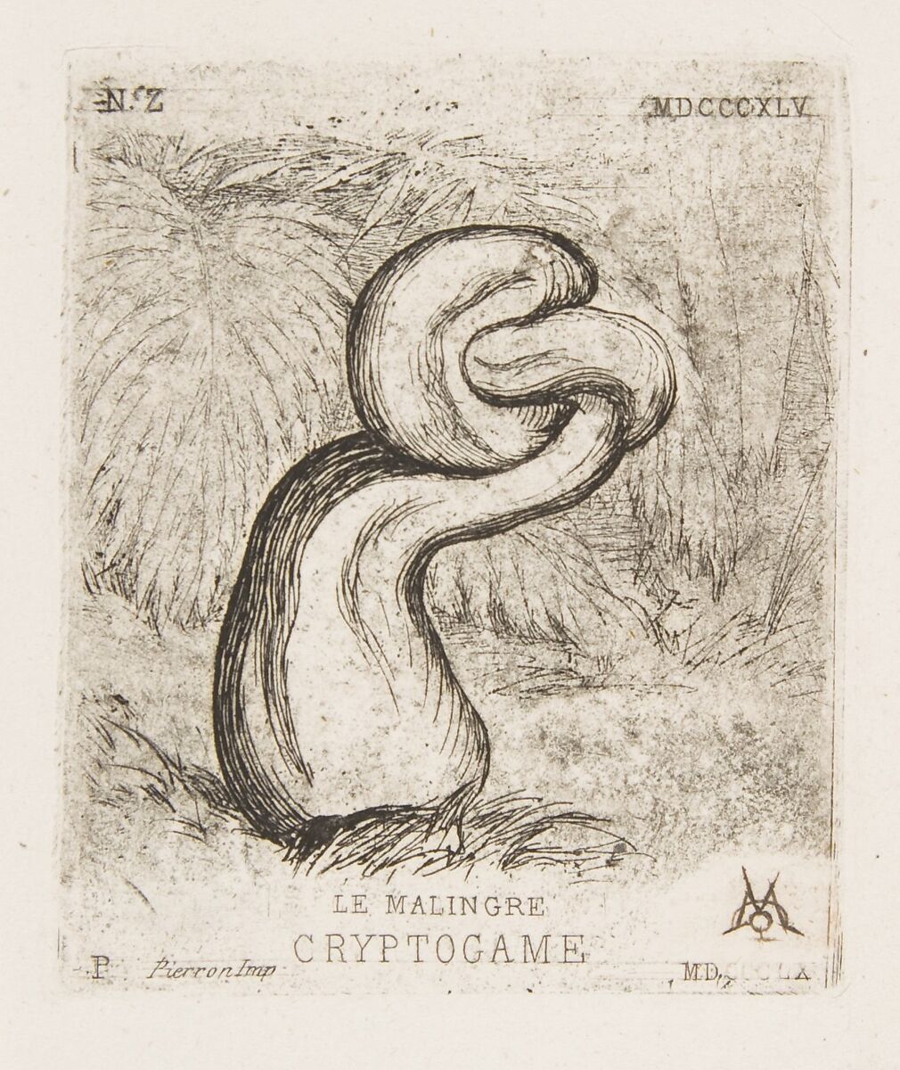 The puny Cryptogamia, Charles Meryon (French, 1821–1868), Etching on wove paper 