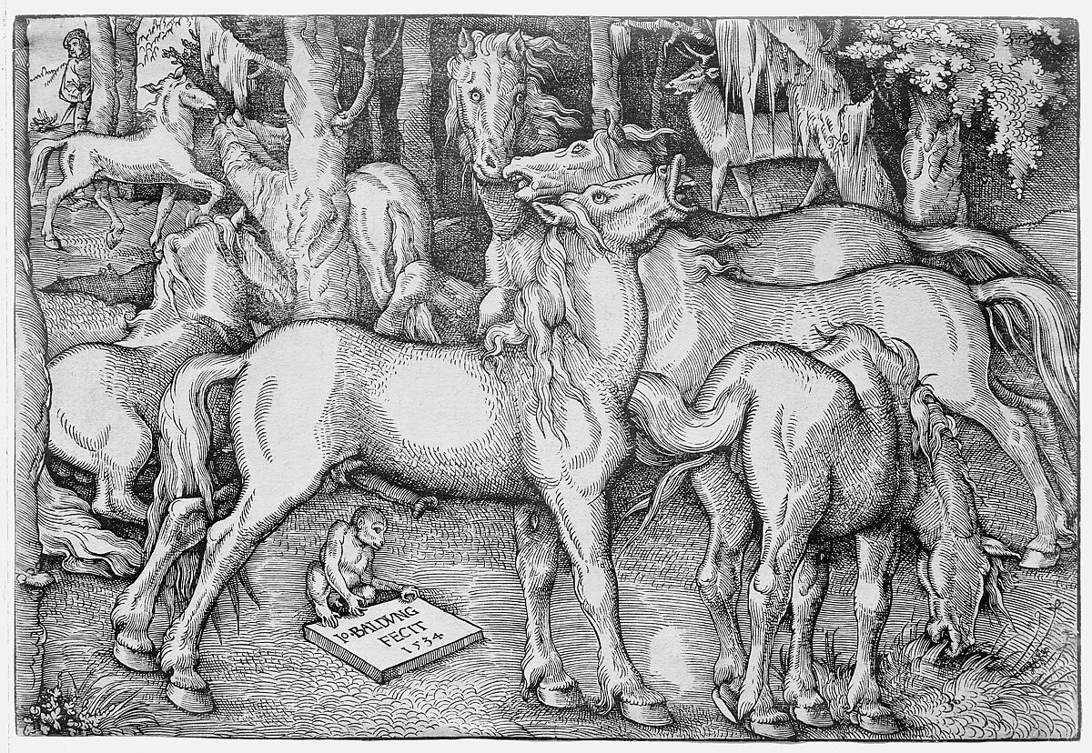 Group of Seven Horses, Hans Baldung (called Hans Baldung Grien) (German, Schwäbisch Gmünd (?) 1484/85–1545 Strasbourg), Woodcut