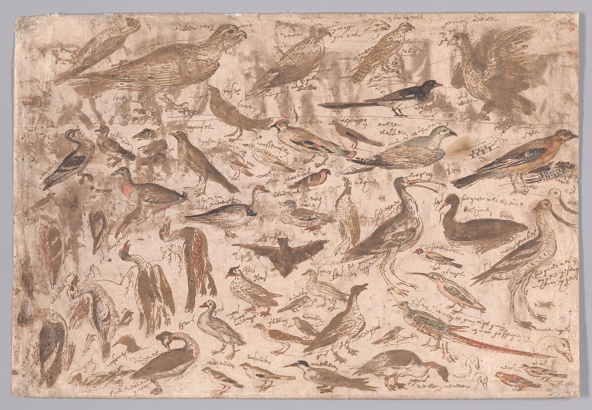 Studies of Birds (recto); Village Scene with Skaters (verso), Albert Flamen (Flemish, born ca. 1620, active 1648–88), Pen and brown ink, brush and brown wash (recto); watercolor (verso) 