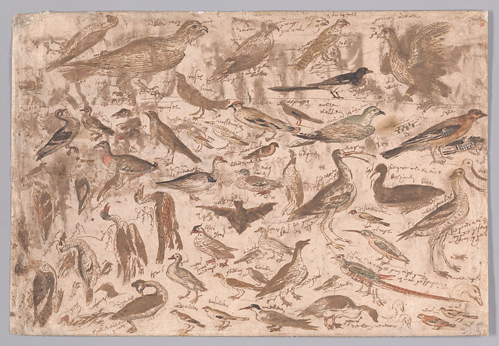 Studies of Birds (recto); Village Scene with Skaters (verso)