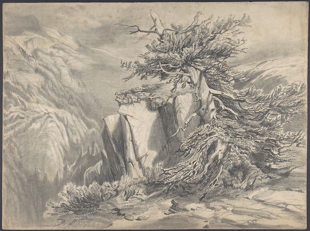 Broken Tree in  Moutainous Landscape, Alexandre Calame (Swiss, Vevey 1810–1864 Menton), Graphite 