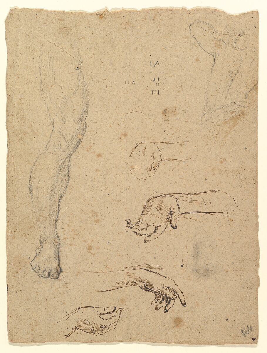 Studies of Legs, Hands, and Torso, Giovanni Larciani ("Master of the Kress Landscapes") (Italian, 1484–1527), Black chalk and pen and brown ink 