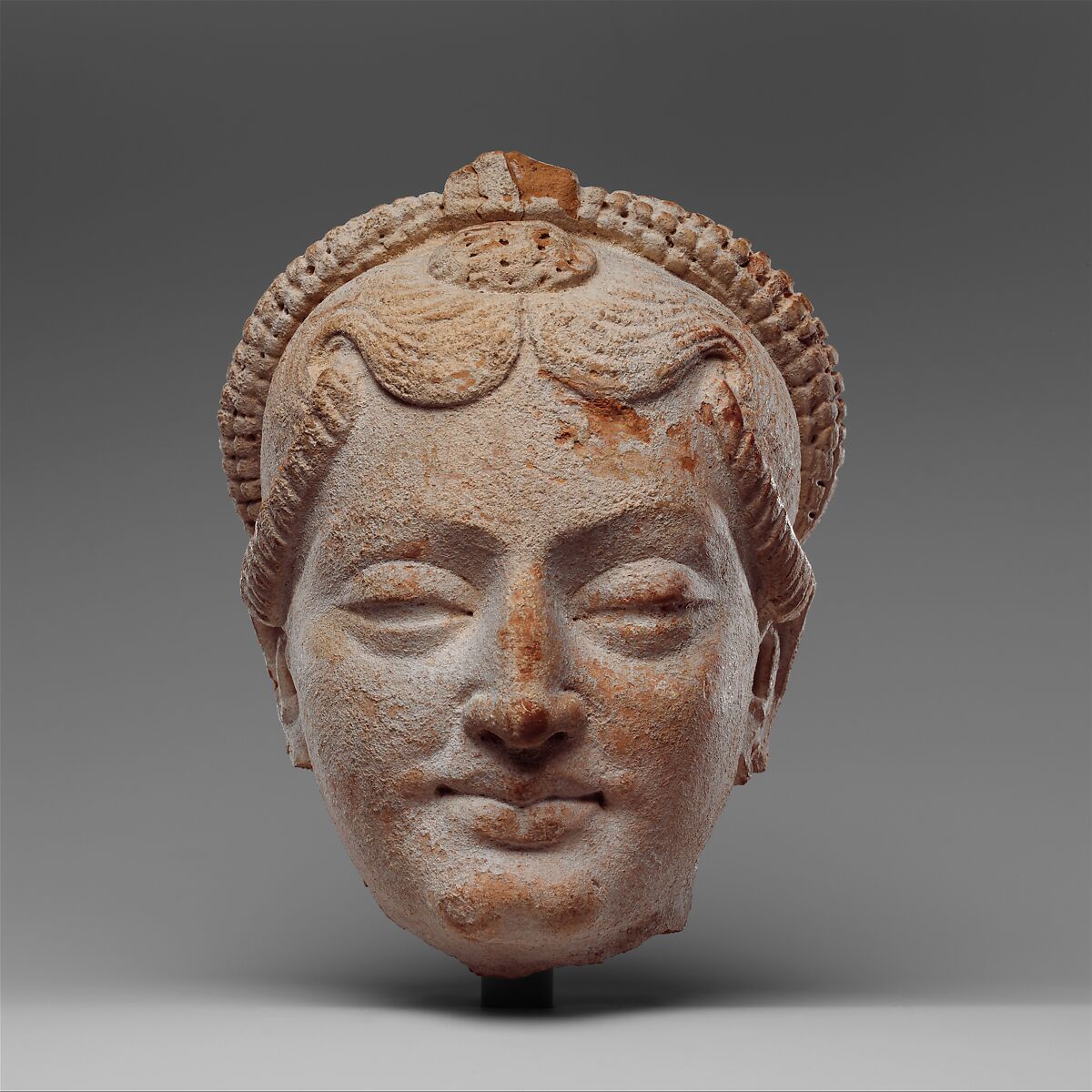 Head of a Female Figure, Terracotta, Pakistan or Afghanistan 