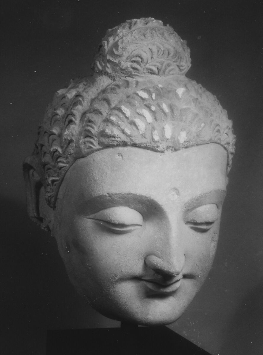 Monumental Head of Buddha, Stucco, Pakistan (ancient region of Gandhara) or Afghanistan 
