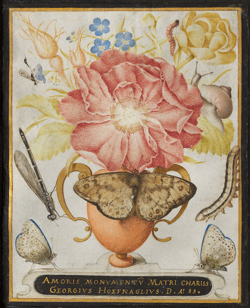 Still Life with Flowers, a Snail and Insects, Joris Hoefnagel (Netherlandish, Antwerp 1542–1600 Vienna), Watercolor, gouache, and shell gold on vellum