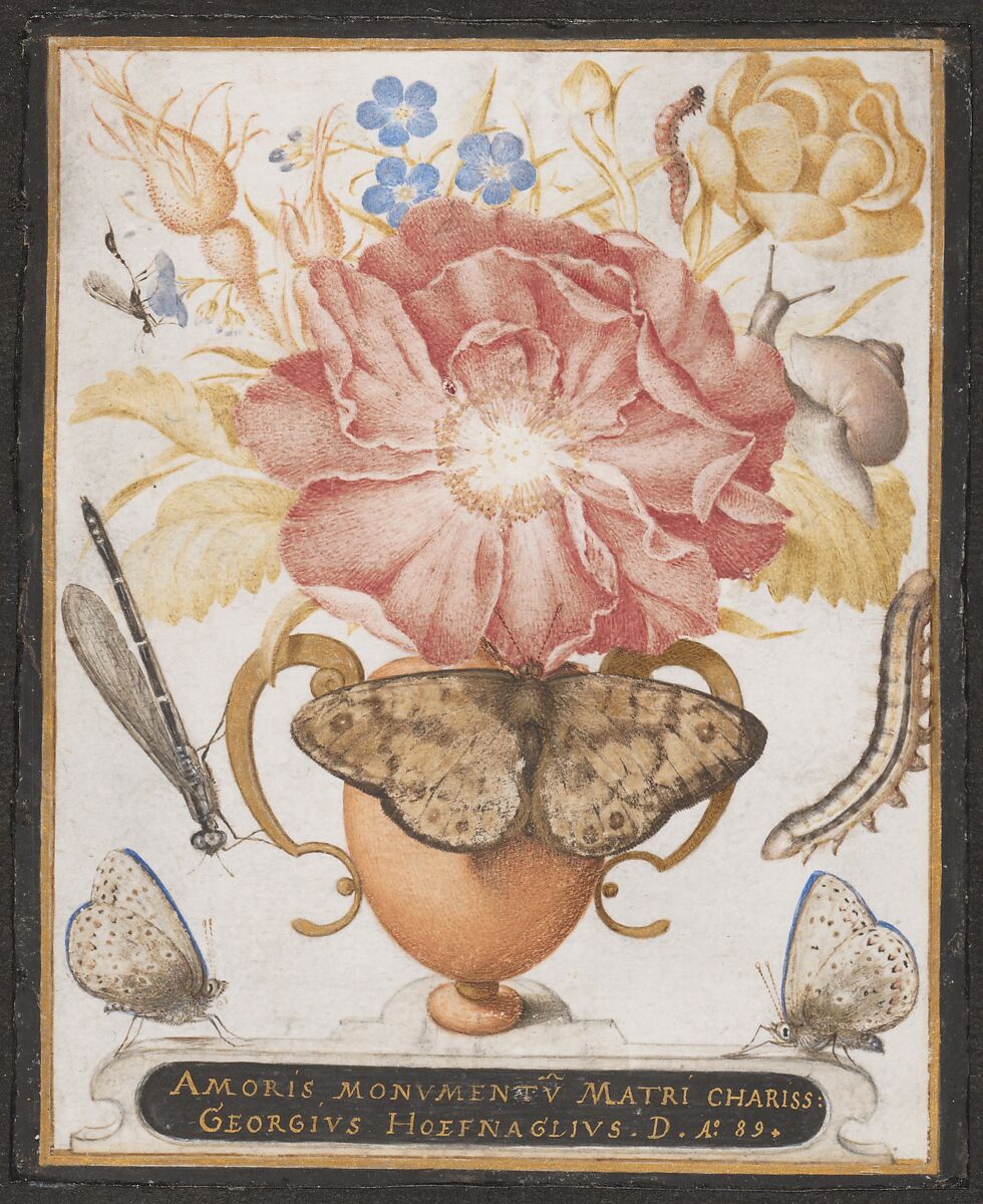 Still Life with Flowers, a Snail and Insects, Joris Hoefnagel (Netherlandish, Antwerp 1542–1600 Vienna), Watercolor, gouache, and shell gold on vellum 