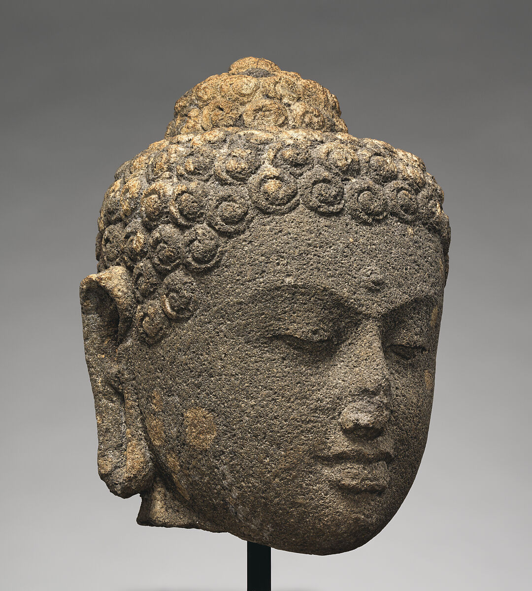 Head of a Buddha, Andesite, Indonesia (Java)
