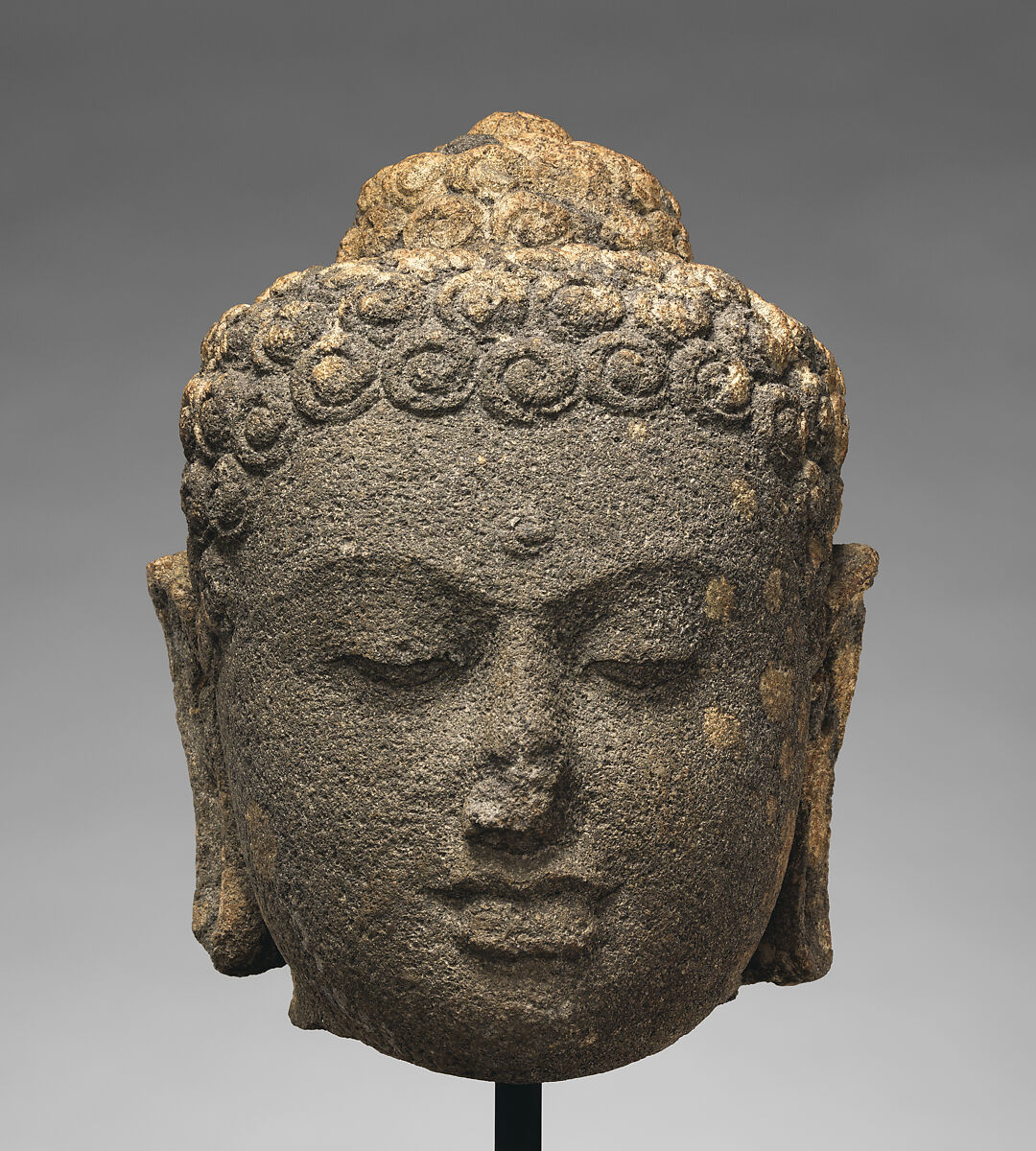 Head of a Buddha, Andesite, Indonesia (Java) 