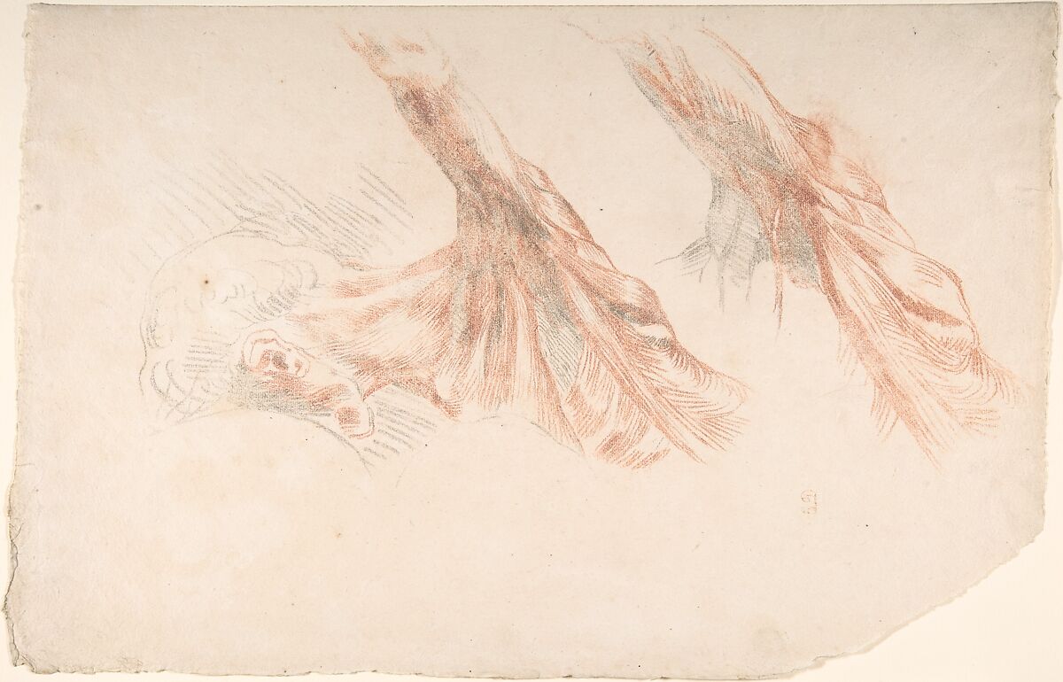 Ecorché: Two Studies of the Muscles of the Shoulder and of the Arm, Raised, Eugène Delacroix (French, Charenton-Saint-Maurice 1798–1863 Paris), Counterproof of a drawing (Musée du Louvre RF 10672) in red and black chalk on laid paper 