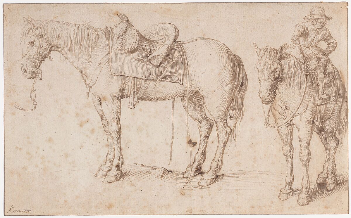 Two studies of a saddled horse and of a horse with a boy astride; verso: Study of a bean plant