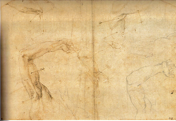 Six Studies of an Elevated Left Arm with Shoulder, Michelangelo Buonarroti (Italian, Caprese 1475–1564 Rome), Black chalk, pen and brown ink 