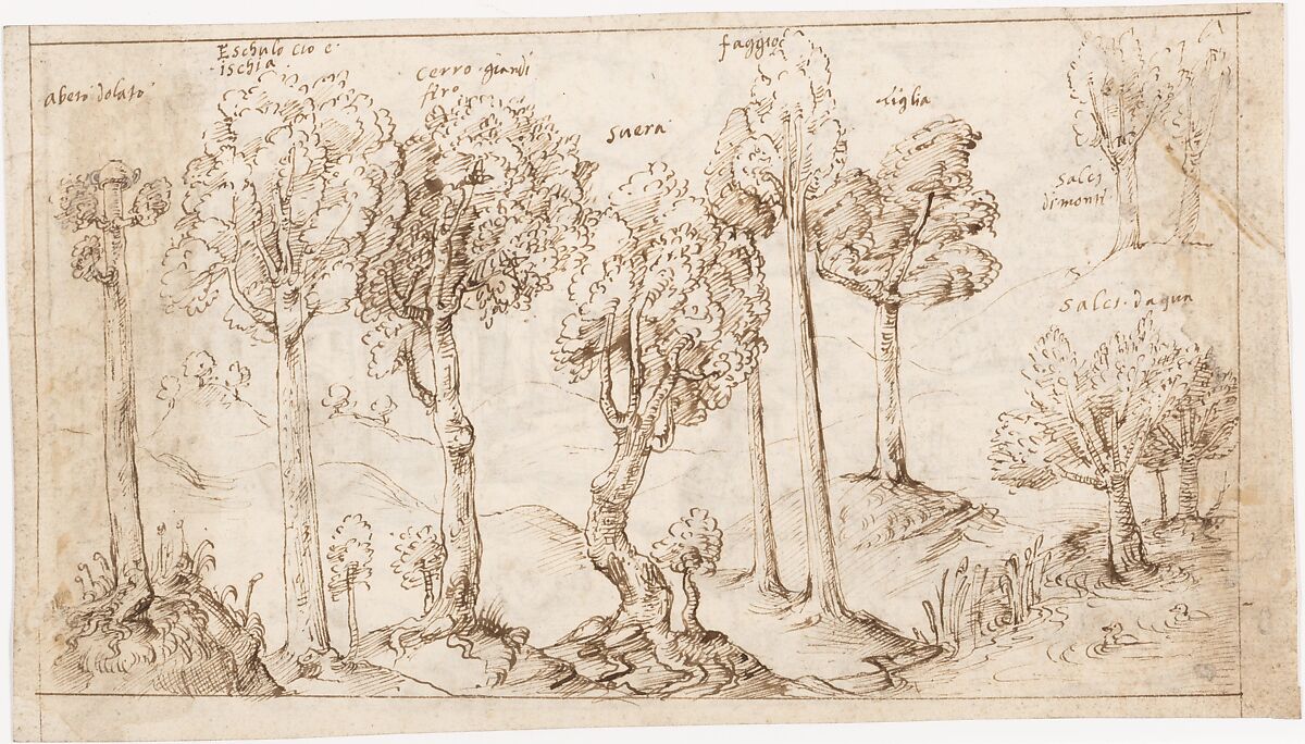 Recto: On Timber, the Species of Trees (Vitruvius, Book 2, Chapter 9, no. 4); Verso: On Timber, the Battle of Larignium (Vitruvius, Book 2, Chapter 9, no. 15).., Attributed to a member of the Sangallo family (Florence, ca. 1530–1545), Pen and dark brown ink 