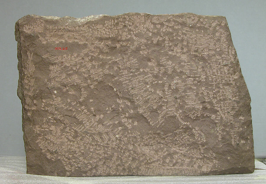 Two Lotuses, from the Bharhut Stupa, Red sandstone, India (Madhya Pradesh)