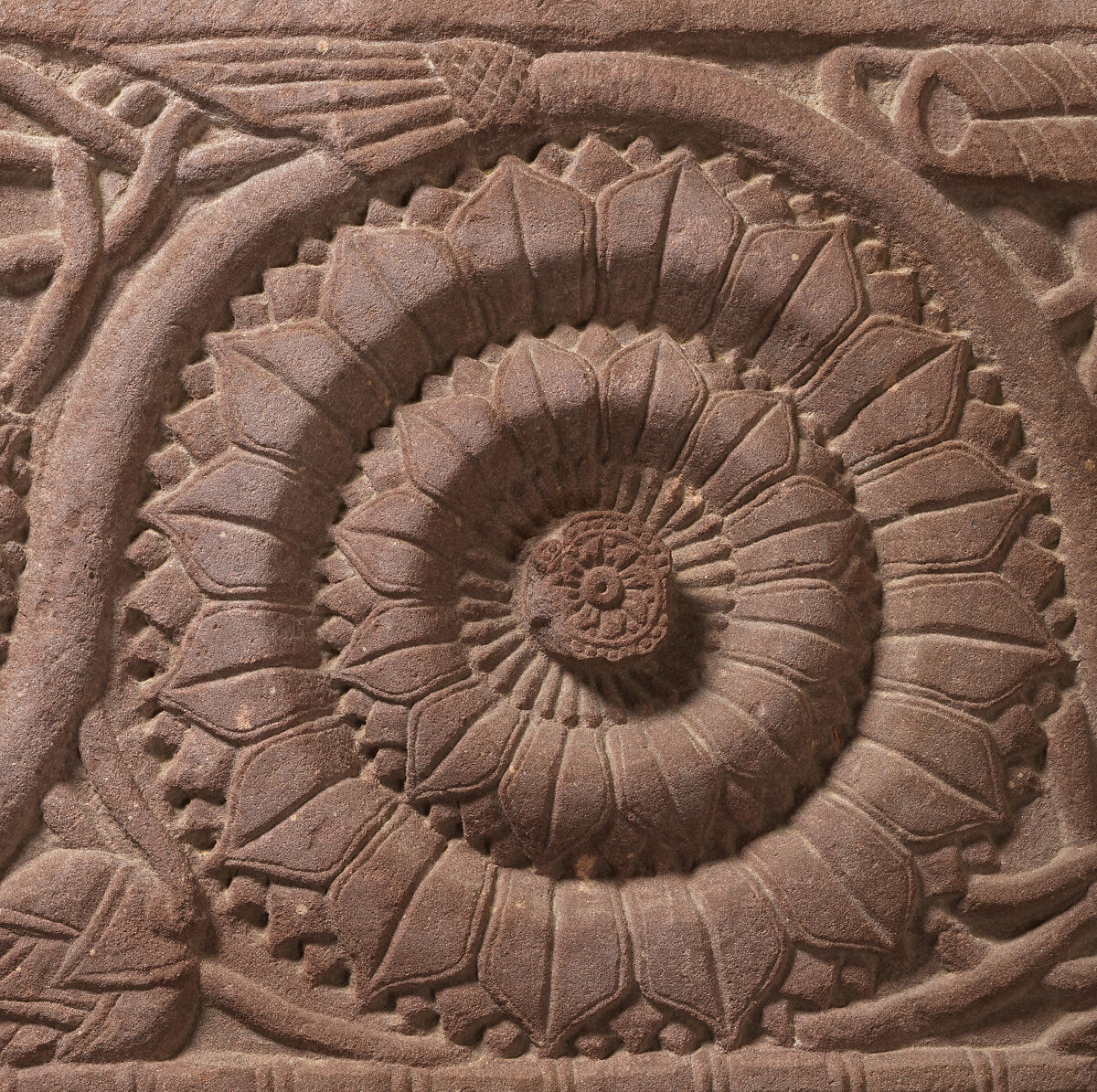 Two Lotuses, from the Bharhut Stupa, Red sandstone, India (Madhya Pradesh)