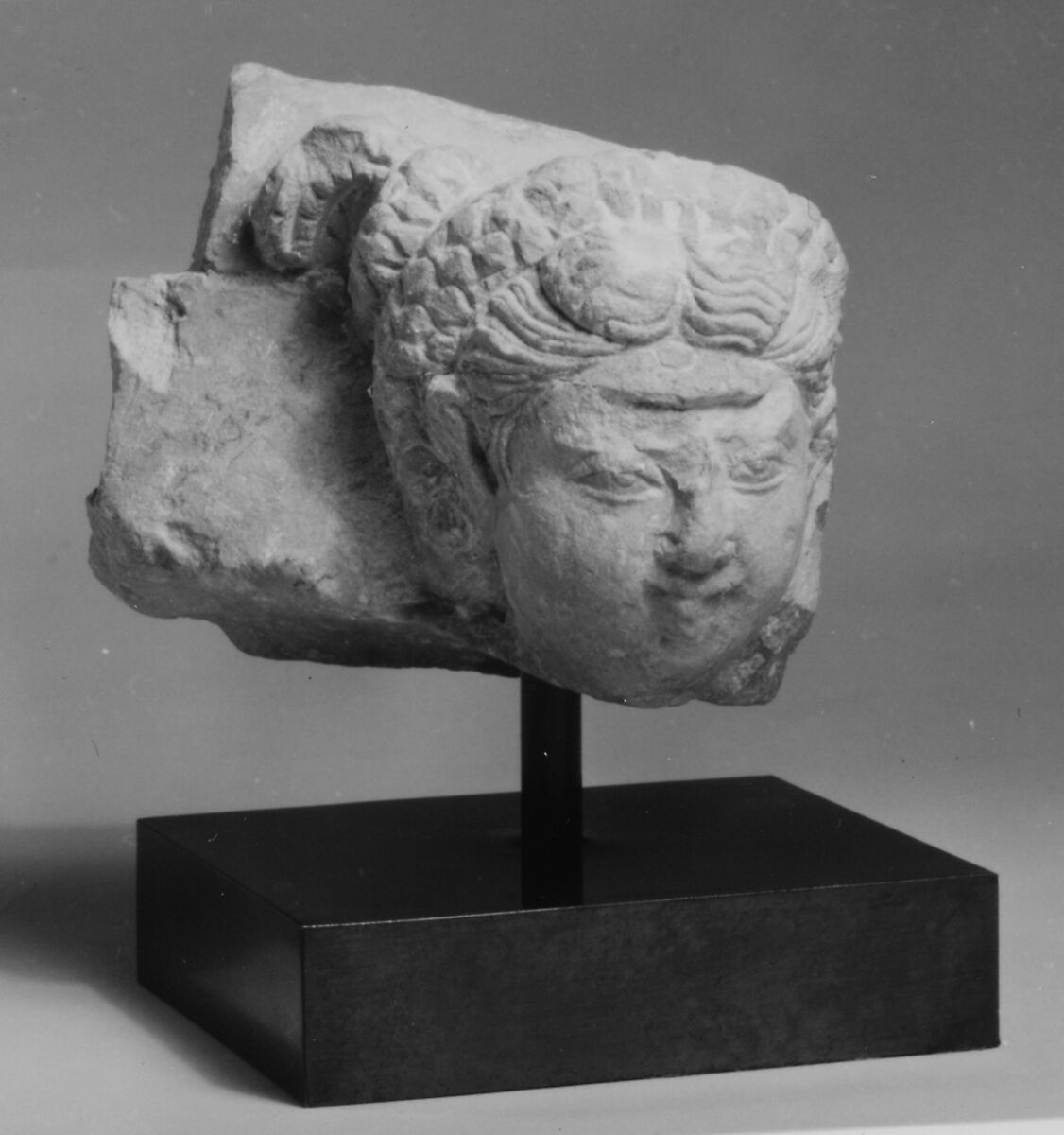 Female Head, Marble, Afghanistan 