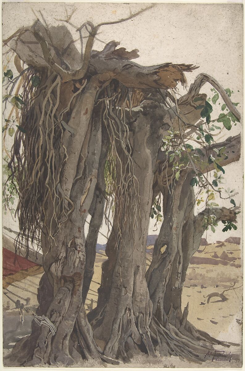 Study of a Stump with Aerial Roots, Woldemar Friedrich (German, Gnadau 1846–1910 Berlin), Watercolor and bodycolor, over graphite 