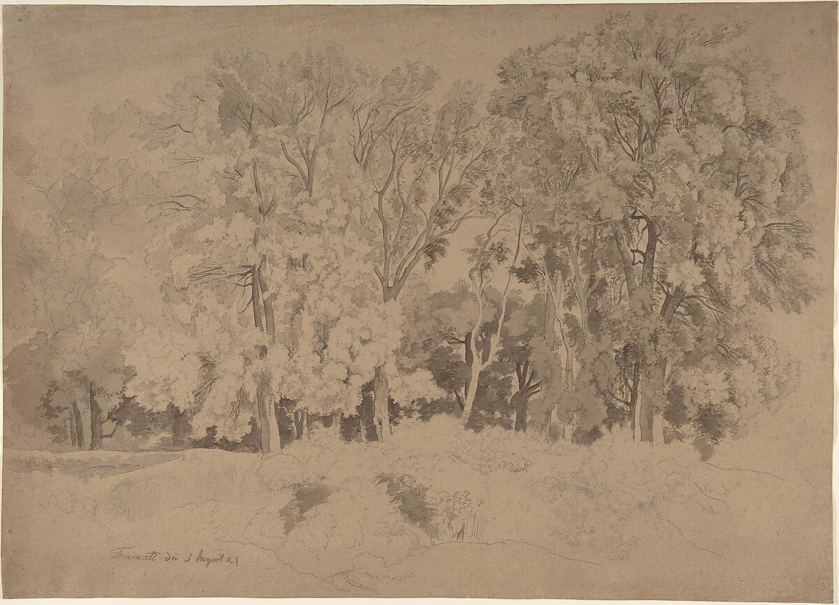 Edge of a Wood near Frascati, Ernst Fries (German, Heidelberg 1801–1833 Karlsruhe), Graphite, brown wash, on light brown paper 