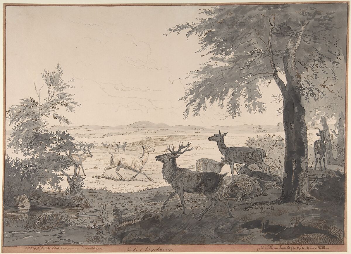 View of Dyrehaven, Johan Thomas Lundbye (Danish, Kalundborg 1818–1848 Bedsted), Pen and brown and gray ink, gray wash, over a light sketch in graphite; framing line in pen and brown ink, by the artist 