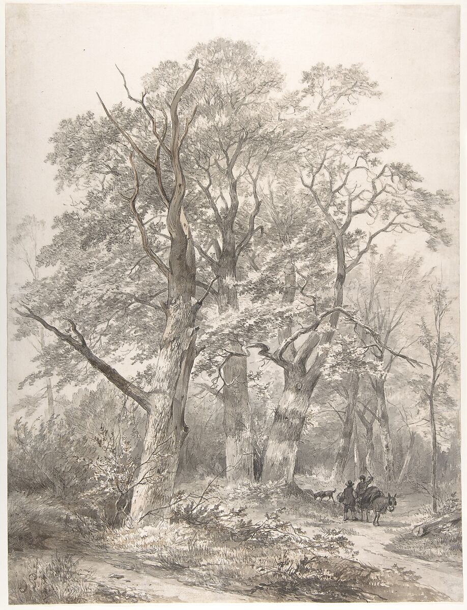 A Forest with Two Men Conversing, Jacobus Pelgrom (Dutch, Amsterdam 1811–1861 Amsterdam), Pen and black ink over black chalk, brush and brown and gray wash 