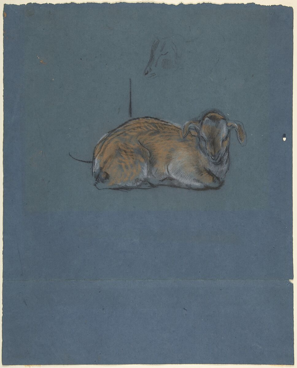 Studies of a young goat, John Macallan Swan (Scottish, Old Brentford 1847–1910 Isle of Wight), Pastel on blue paper 