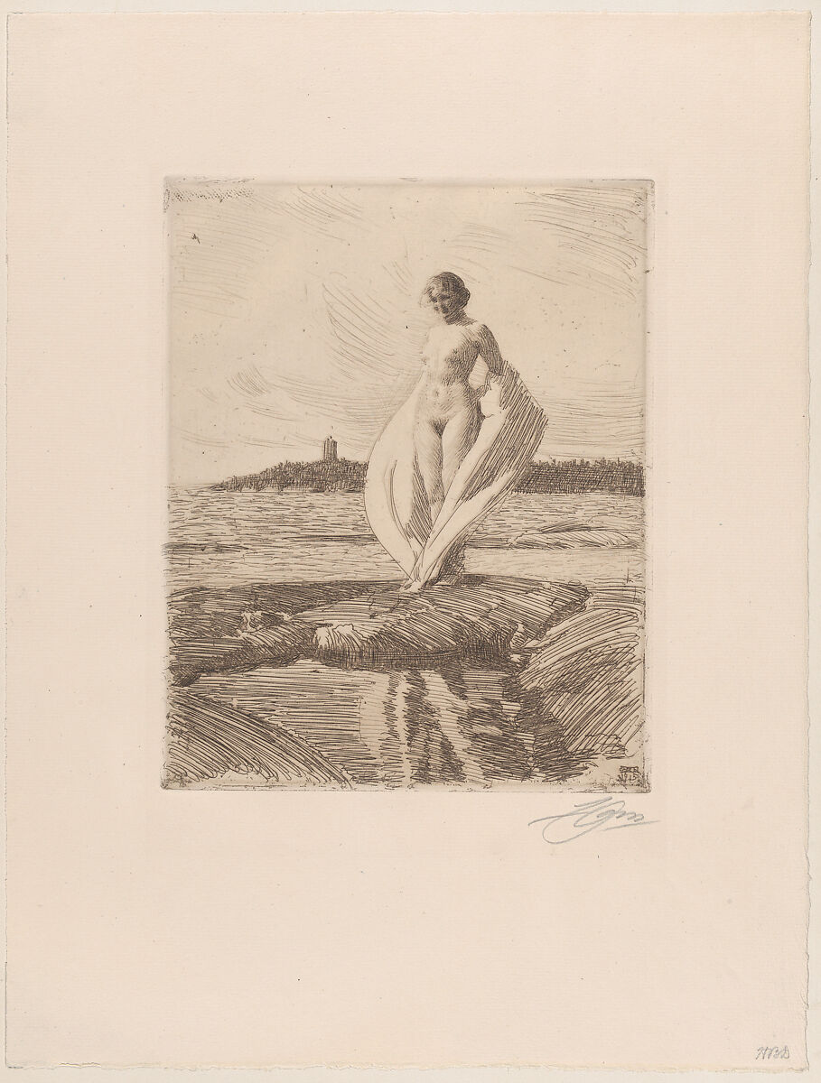 The Swan, Anders Zorn (Swedish, Mora 1860–1920 Mora), Etching; third state of three 